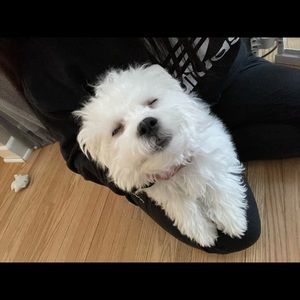 Meet your Posher, Patricia